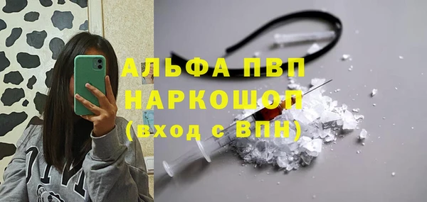 гашик Покровск